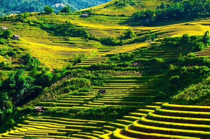 Ha Giang Loop Tour With Easy Rider 3 Days 3 Nights