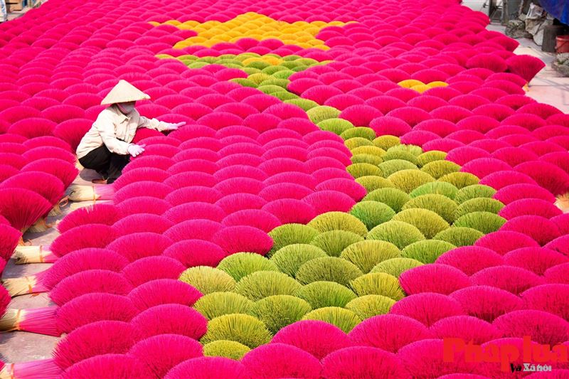 Ninh Binh Cultural Journey: Incense Village, Tam Coc & Hoa Lu