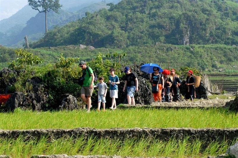 Sapa 3D2N Trekking Tour – 1 Night Hotel & 1 Night Ta Van Village
