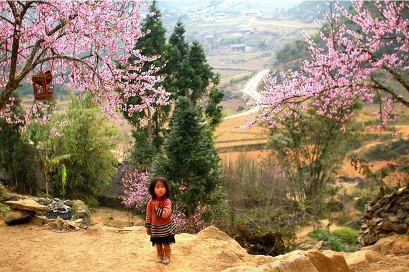 Sapa 3D2N Trekking Tour – 1 Night Hotel & 1 Night Ta Van Village