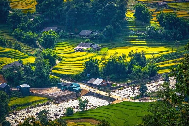 Sapa Scenic Trekking through Rice Terraces & Local Villages