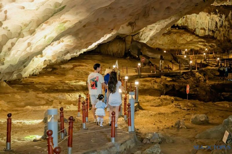 Sea Octopus Cruise – Premium Luxury Day Tour in Ha Long Bay