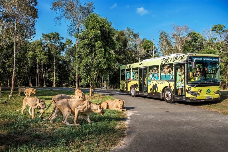 VinWonders Phu Quoc & Vinpearl Safari Tickets – Combo Theme Park & Safari Zoo